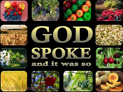 Genesis 1:11